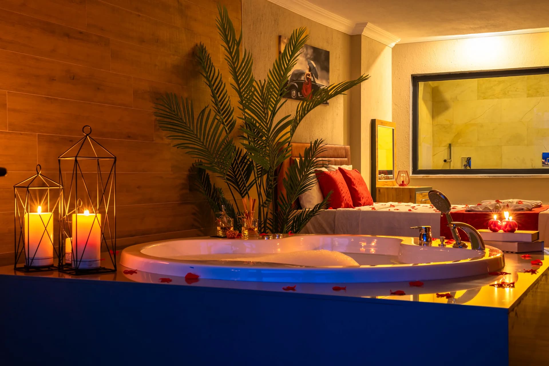 Изображение виллы 40