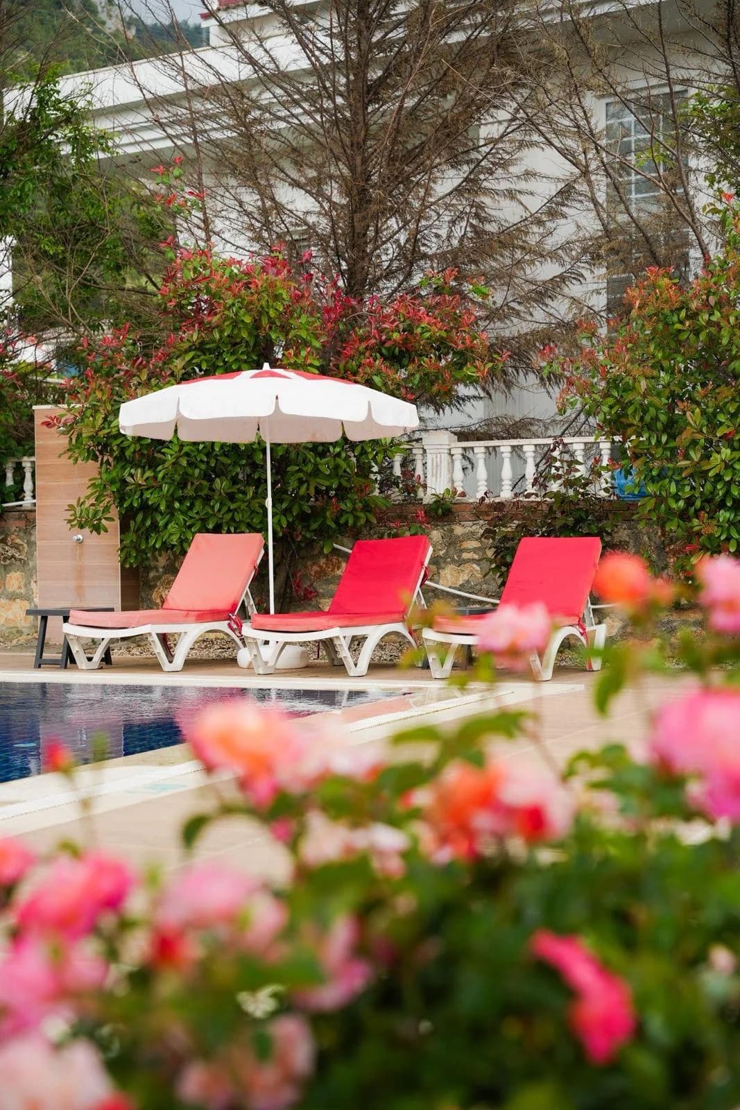 Villa Limon 7
